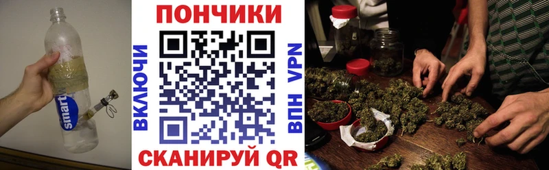 OMG маркетплейс  Сурск  Шишки марихуана Amnesia  где найти наркотики 